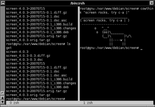 Terminal Emulator for GNUstep