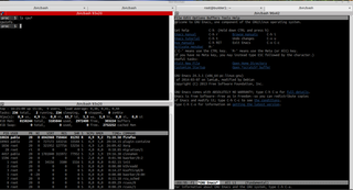 multiple GNOME terminals in one window