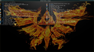 Enlightenment efl based terminal emulator