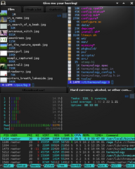 Enlightenment efl based terminal emulator