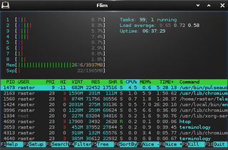 Enlightenment efl based terminal emulator