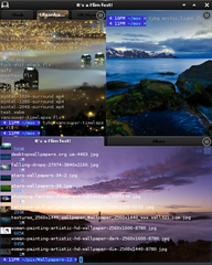 Enlightenment efl based terminal emulator