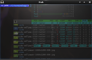 Enlightenment efl based terminal emulator