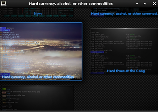 Enlightenment efl based terminal emulator