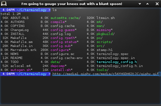 Enlightenment efl based terminal emulator