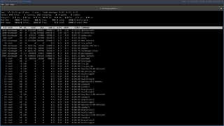 termonad (0.2.1.0-2)  runnin in Xmonad and Debian
