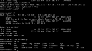 The testdisk.log , in /testdisk.log , 
