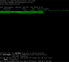 Partition scanner and disk recovery tool, and PhotoRec file recovery tool