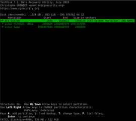 Partition scanner and disk recovery tool, and PhotoRec file recovery tool
