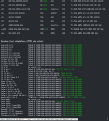 Command line tool to check TLS/SSL ciphers, protocols and cryptographic flaws