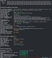 Command line tool to check TLS/SSL ciphers, protocols and cryptographic flaws