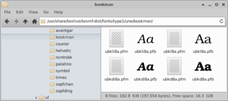 TeX Live: Recommended fonts
