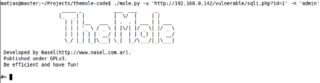 automatic SQL injection exploitation tool