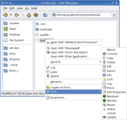 VCS plugin for Thunar file manager