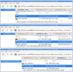 1,2 "TAB" -sort by "ext", 3 "TAB" - sort by "name"