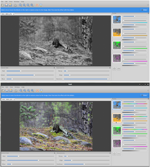 photo filter for easy color effects