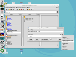 the vertical button bar and the file browser window of TkDesk
