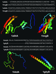 structural alignment of proteins