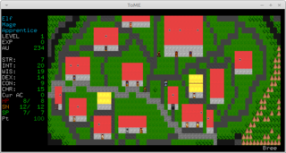 single-player text-based roguelike dungeon simulation game