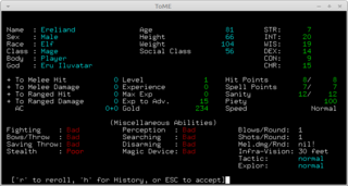single-player text-based roguelike dungeon simulation game