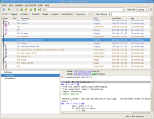 Graphical tool for working with Mercurial