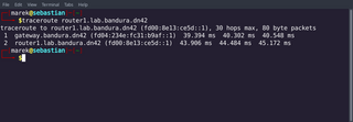 Traces the route taken by packets over an IPv4/IPv6 network