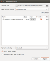 Open a torrent