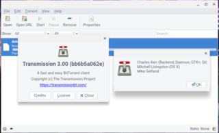 lightweight BitTorrent client (Qt interface)