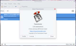 lightweight BitTorrent client