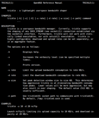 user-space bandwidth shaper