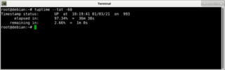 Tuptime report system status at specific point in time