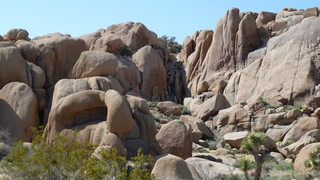 Joshua Tree National Park