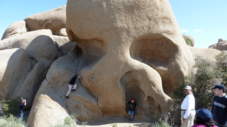 Joshua Tree National Park