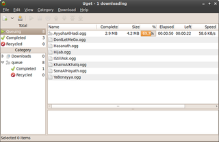 easy-to-use download manager written in GTK+