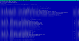automatic installation of security upgrades