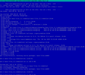 automatic installation of security upgrades