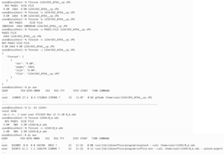 interactive login tools