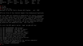 command-line gopher client