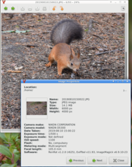 image properties