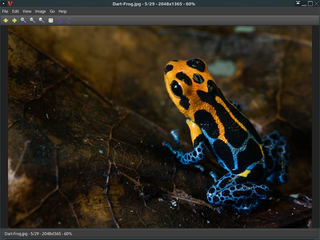 simple, fast and elegant image viewer