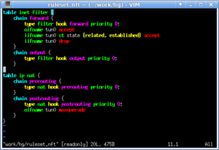 syntax highlighting for nftables configuration files