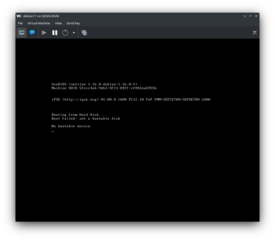 Displaying the graphical console of a virtual machine