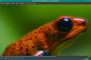multimedia player and streamer