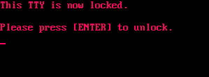 Virtual Console locking program
