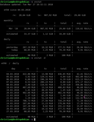 vnstat summary & daily