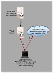 Virtual Organization Membership Service Server