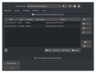 Desktop Client for Borg Backup