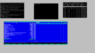 w9wm with xterm and several console apps