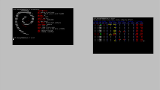 enhanced window manager based on 9wm