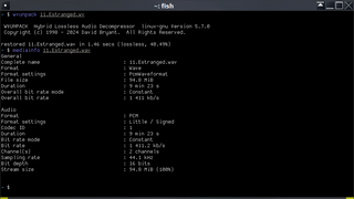 audio codec (lossy and lossless) - encoder and decoder